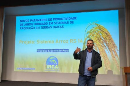 Ramão: novos patamares de produtividade para o arroz irrigado. Foto: Divulgação