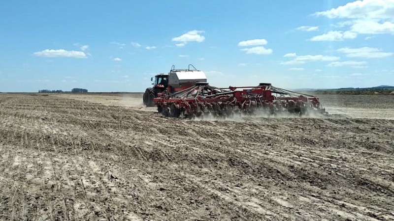  Arrozeiros gaúchos alcançam semeadura de 73% da área prevista nesta safra