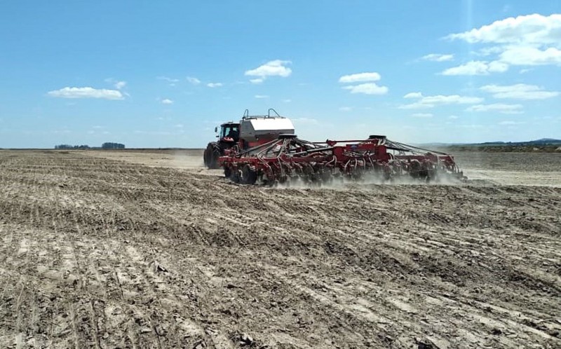  Equipe do Irga prepara atrações da Abertura Oficial da Colheita do Arroz