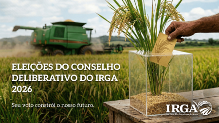 Irga Rice Veja quem são os candidatos para a eleição do Conselho do Irga ...