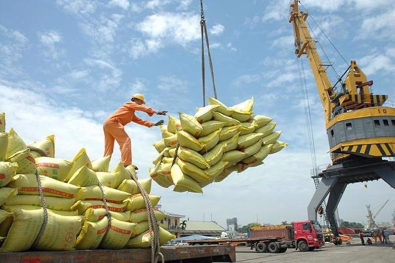 Índia impõe nova exigência para exportação de arroz não basmati