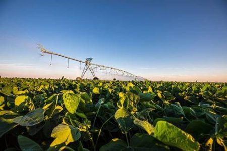Manejo inteligente da irrigação pode reduzir em até 35% o uso de água nas lavouras