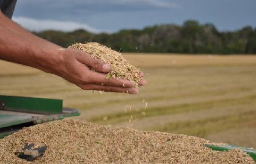Finalmente governo libera dinheiro para PEP e Pepro, mas antes corta quase 40%