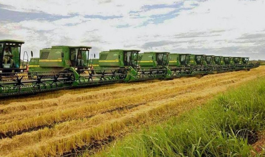  Com o 4º maior valor de produção de arroz do país, Lagoa da Confusão ocupa a 94ª posição entre os municípios ricos do agronegócio