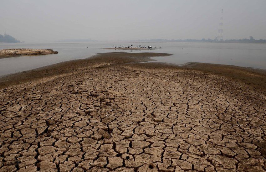  Arrozeiros paraguaios dizem que irrigação não afeta caudal no rio Paraguai