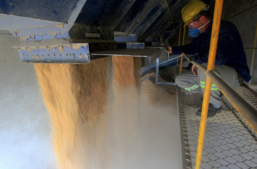  Casca de arroz como combustível para formação de biomassa
