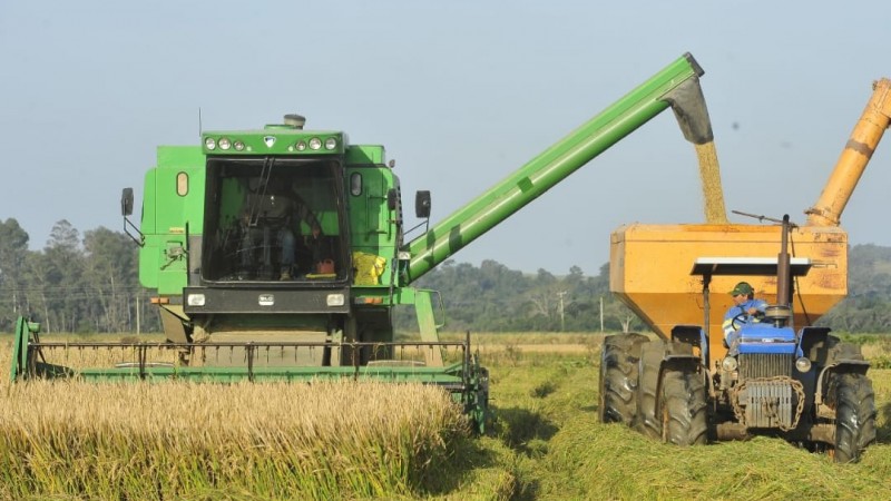  10º Levantamento confirma safra de arroz acima de 12,3 milhões de toneladas