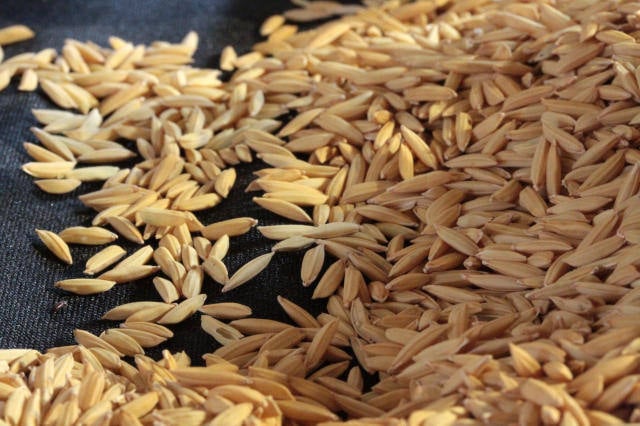  Preços do arroz continuaram subindo no leste da Ásia e nas Américas