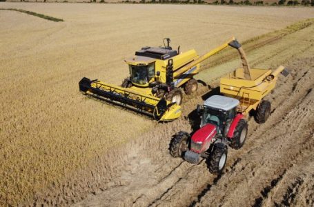 Entre as seis regiões produtoras, a Planície Costeira Externa foi a primeira a concluir totalmente os trabalhos de campo – Foto: Giovani Wrasse