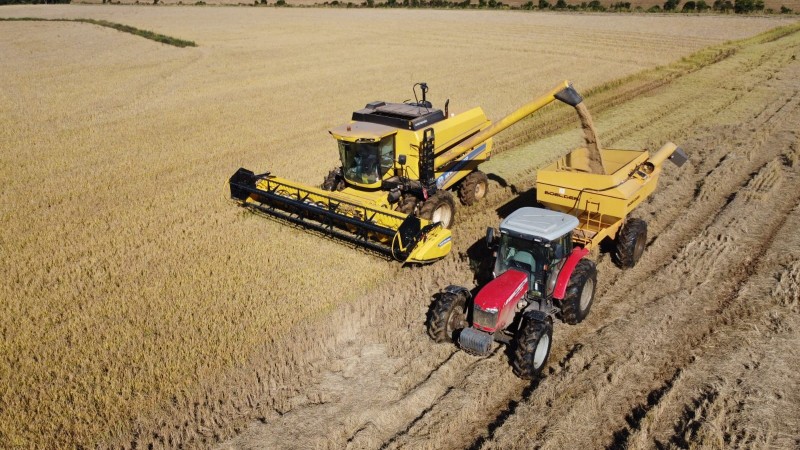  Colheita do arroz supera 97% no RS e se aproxima do fim