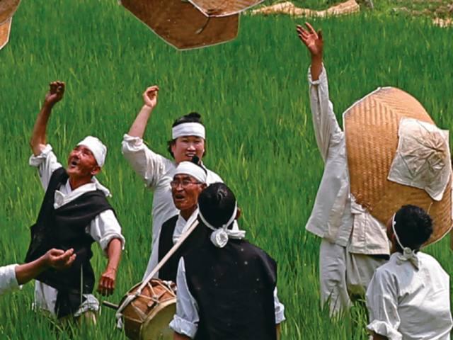  Campos de arroz da Coreia do Sul registram o primeiro crescimento em 20 anos