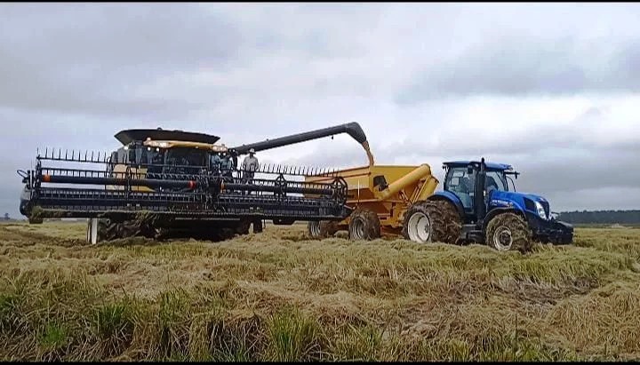  Presidente Lacalle Pou abre a colheita do arroz no Uruguai