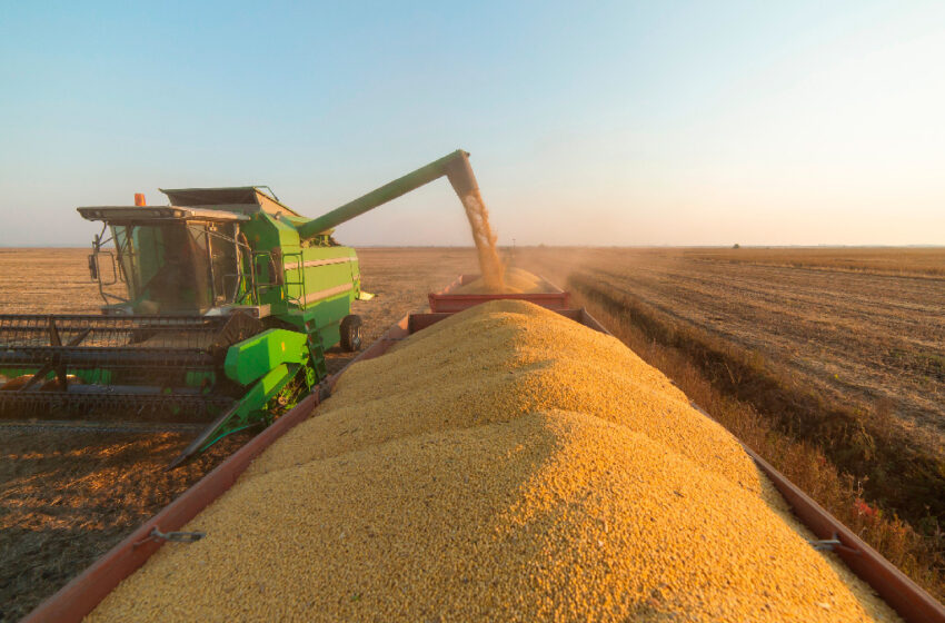  Brasil colhe safra recorde de grãos em 2021/22, superando 271 milhões de toneladas