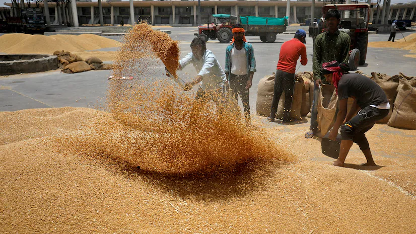  Mudança de política da Índia estimula declínio nos preços globais do arroz