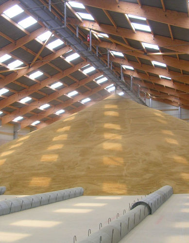  Conab poderá comprar até 110 mil toneladas de arroz por meio de Contrato de Opção de Venda
