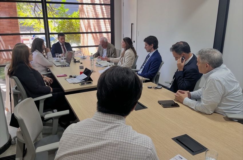  EUA querem levar Brasil à OMC por programas de apoio ao arroz