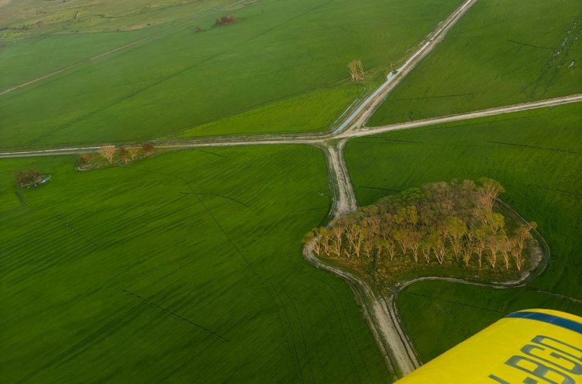  Uruguai chega a 99% da semeadura e espera definição do potencial produtivo