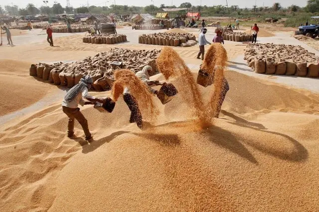  Governo da Índia pode reduzir preço de venda de reserva de arroz para produção de etanol