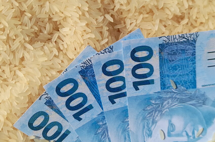  Mercado de arroz quebra recordes de preços e estabelece margem para 2024