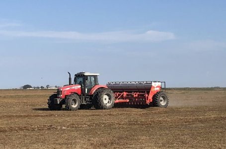 Plantio do arroz prossegue e deve superar 50% da área esta semana depois de vários dias sem chuvas.