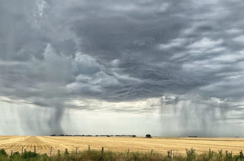  Março começa com chuva e risco de temporal em áreas produtoras de arroz do RS