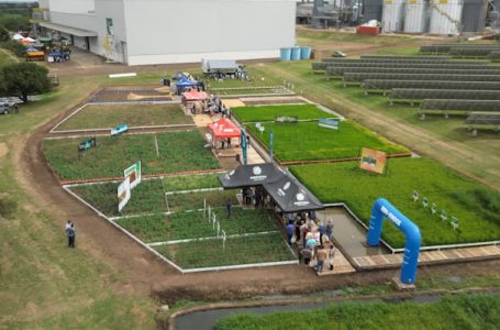 Sementes Simão volta a realizar seu Dia de Campo em Dom Pedrito
