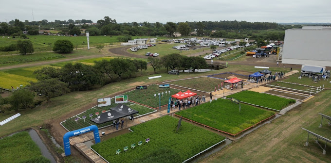  Dia de Campo Sementes Simão 2025