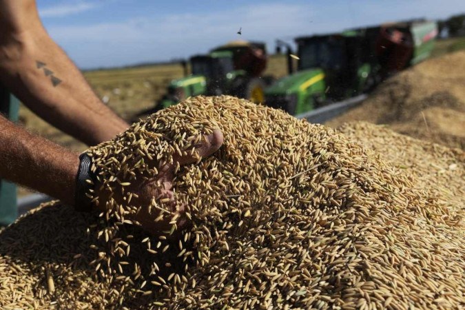 Exportações de arroz da Argentina disparam 91% em 2025 e lideram crescimento entre grãos
