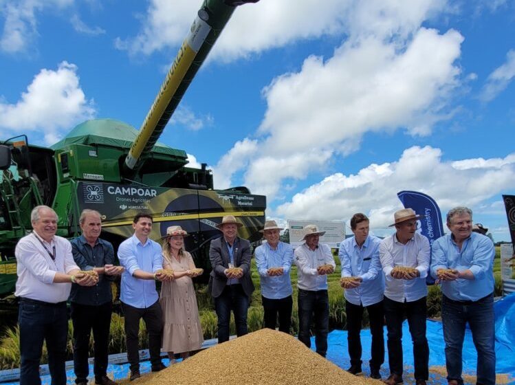  7º Abertura da Colheita do Arroz marca a história do agro catarinense