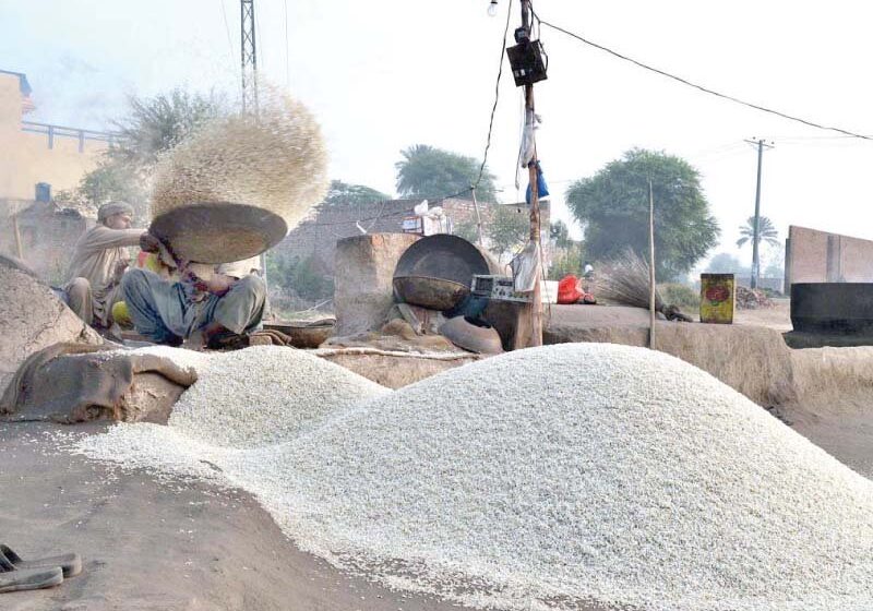  As exportações de arroz do Paquistão para a China aumentaram 133% em 2021