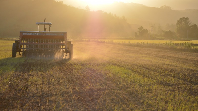 Perspectivas climáticas para o período da semeadura do arroz no RS