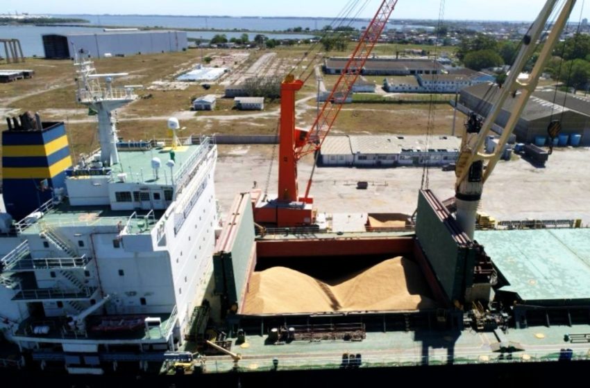  Cooperativa Palmares inicia exportação de arroz em busca de equilíbrio dos preços