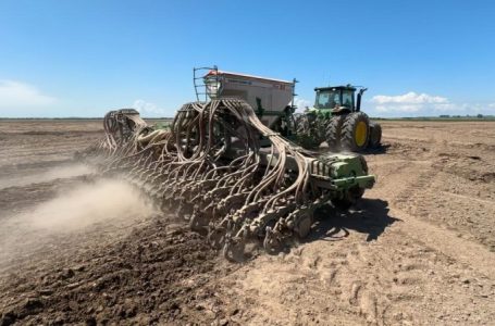 Semeadura do arroz avança na Região Central gaúcha. Foto: Ricardo Tatsch/Irga