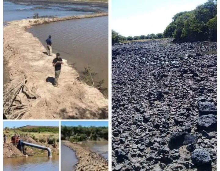  Arroz: Apropriação ilegal de água é flagrada em Corrientes