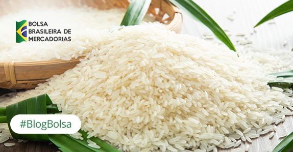  Leilão de arroz na BBM acontece nesta segunda-feira