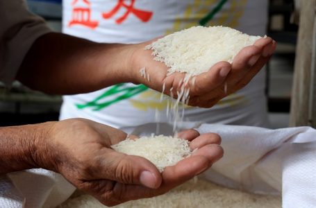 Arroz resistente é uma das ferramentas da China