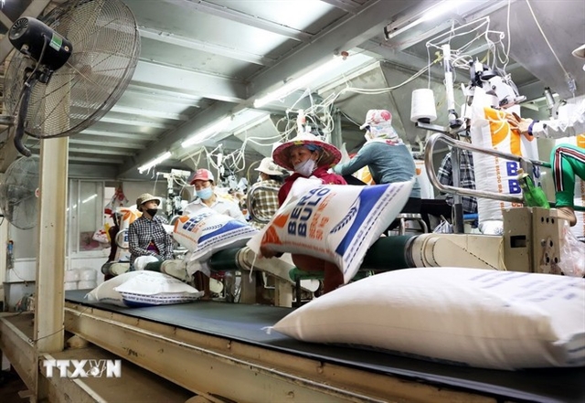  Volume de arroz vietnamita aumenta, valor cai no primeiro semestre