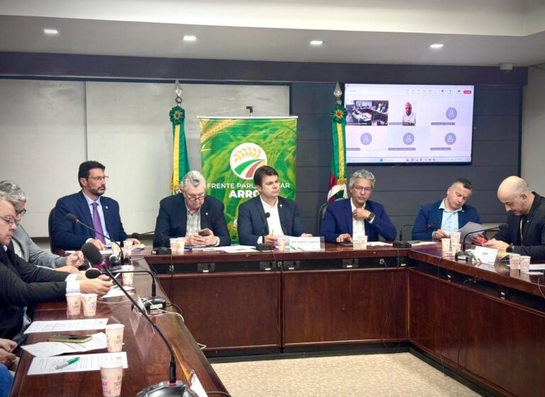 Entidades debateram crise do arroz na Assembleia Legislativa gaúcha