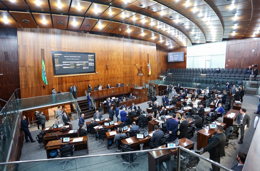  Assembleia gaúcha aprova uso da CDO em apoio à comercialização do arroz