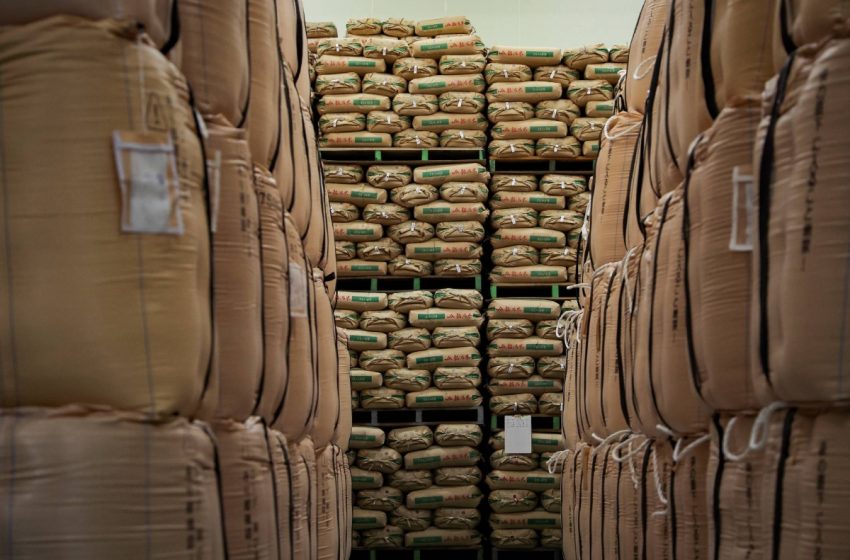  Leilão de estoques vende quase 142 mil toneladas de arroz no Japão