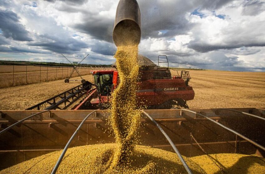  Produção de grãos é estimada em 272,5 milhões de t