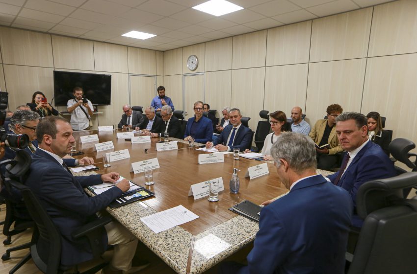 Reunião da Câmara Setorial Nacional da Cadeia Produtiva do Arroz