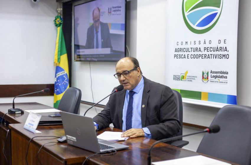 Deputado Zé Nunes cobra fortalecimento do Irga