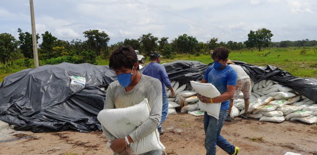  Funai apoia plantio mecanizado de arroz por indígenas da etnia Xavante