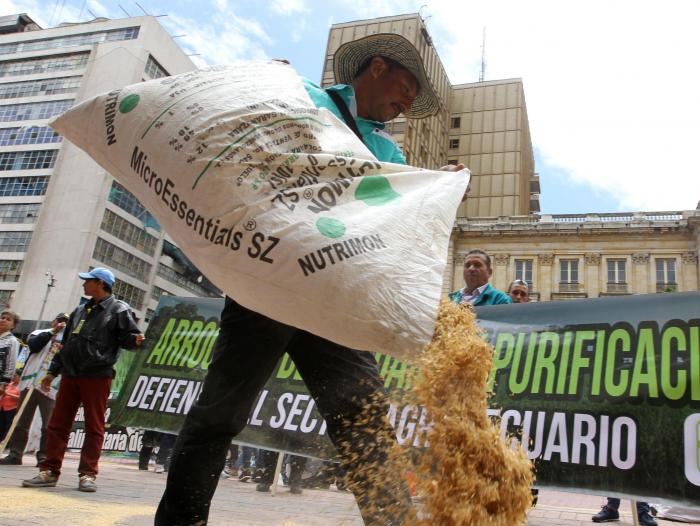  Cerca de 300 produtores de arroz protestam em frente ao Congresso da Costa Rica