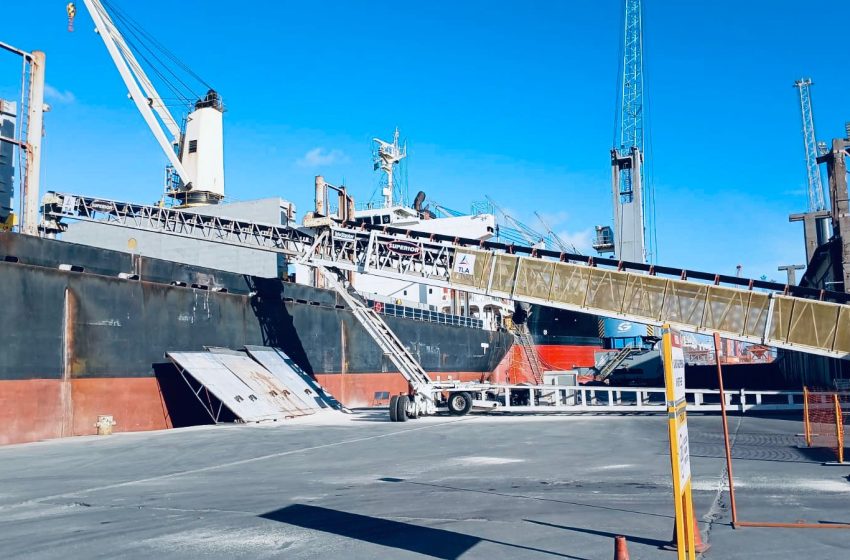  Importações e exportações desaceleram em novembro