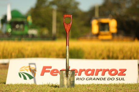 Pá do arroz é honraria a quem se destacou na defesa do setor. Foto: Paulo Rossi