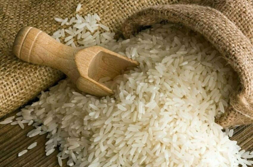  Mercado do arroz se mantém estável, mas pressionado
