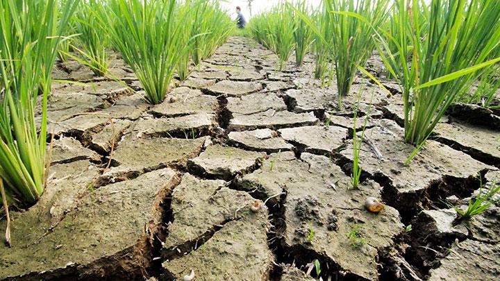  Agora é oficial: La Niña chegou e impacta o clima no verão brasileiro