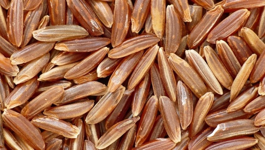 Arroz encerra semana com valorização no RS